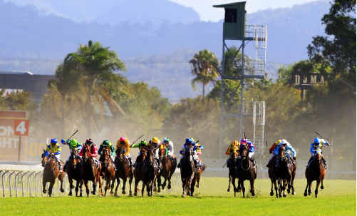 Countdown: Favourite Karuta Queen is showing super form in preparation for the $2 million Magic Millions Classic at the Gold Coast track this Saturday. Countdown: Favourite Karuta Queen is showing super form in preparation for the $2 million Magic Millions Classic at the Gold Coast track this Saturday.